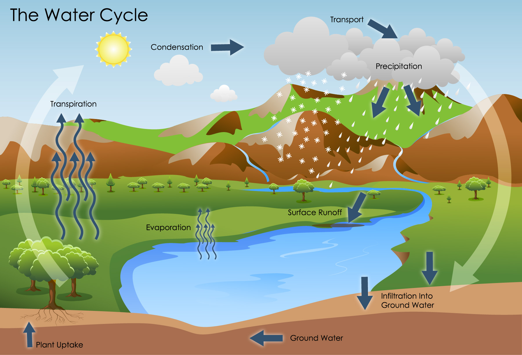 precipitation water cycle